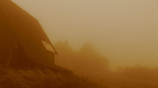 Połonina Wetlińska we mgle #widoki #Bieszczady