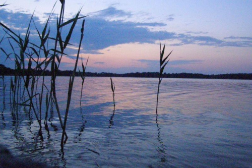 Wieczorna rozmowa z naturą