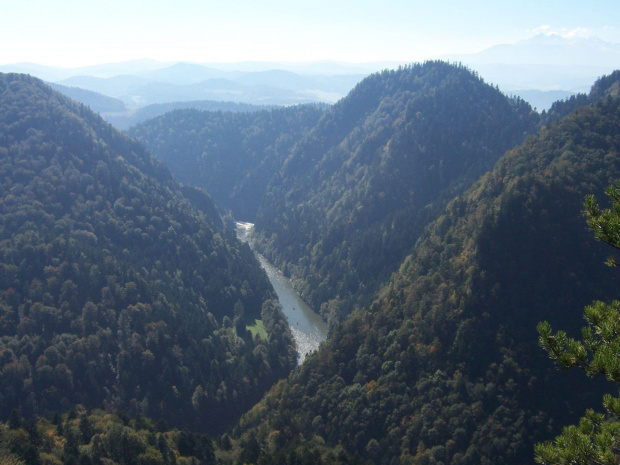 Dunajec #góry #krajobraz #małopolska #Pieniny #rzeka