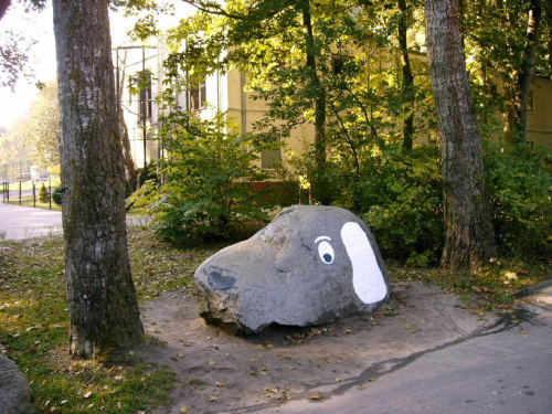 Duży kamień , dodano oczy i uszy i upodobnił się do głowy psa