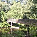 Dziki park. Glasgow.