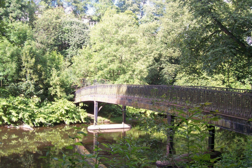 Dziki park. Glasgow.