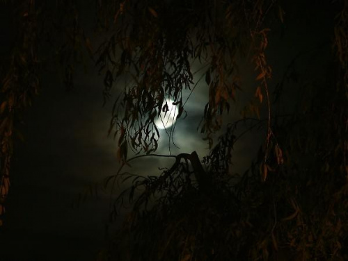#księżyc #noc