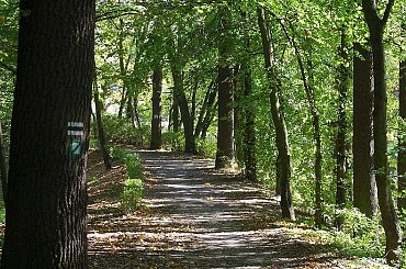 TORUŃ - PARK MIEJSKI I TZW. MARTÓWKA #FaunaIFlora