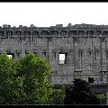 Coloseum