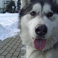 Alaska