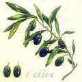L'olive #decoupage #serwetki #wymiana