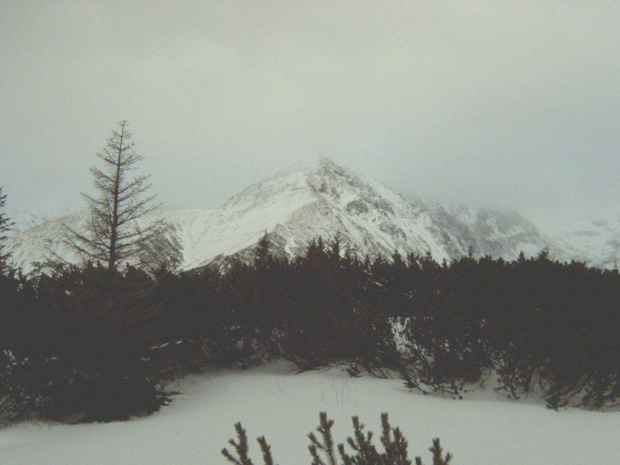 tatry