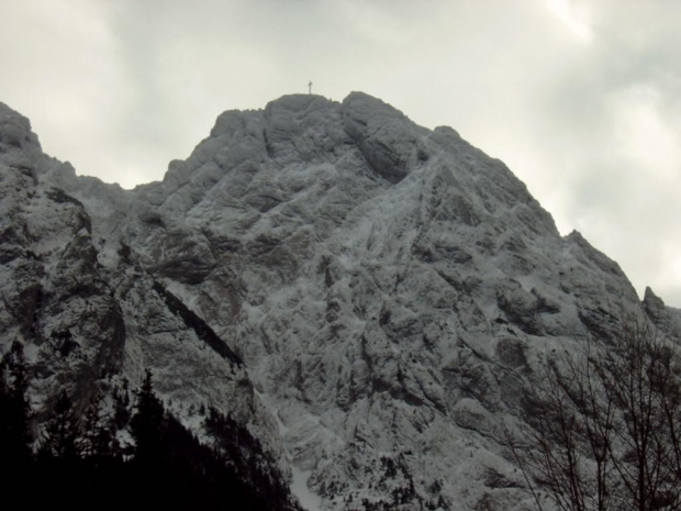 tatry #tatry #zakopane #gory #drzewa #zima