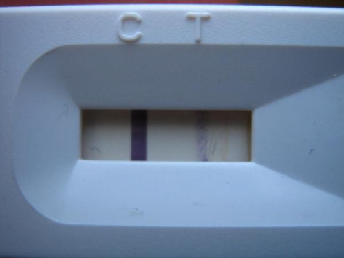 Test ciążowy -27.08.2007r