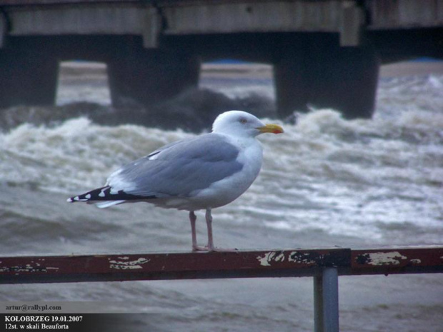 Sztorm na Bałtyku, molo w Kołobrzegu 19.01.2007