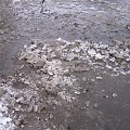 25.01.2007 - IDZIE ZIMA