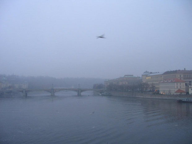 Wełtawa, widok na Manesuv most #Praga #Czechy