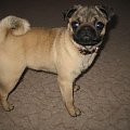 sally :))
