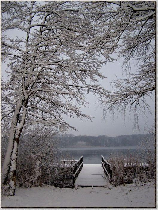 Sennie trochę... Jeszcze dzień na dobre nie wstał.... #zima #krajobrazy #rośliny #śnieg #drzewa #jezioro
