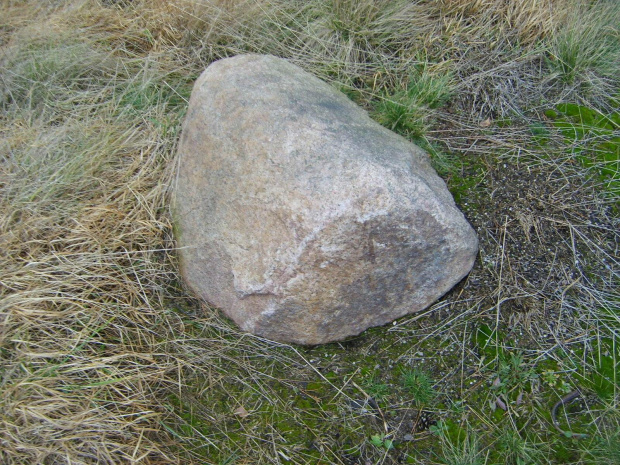 kamień w Wilkocinie
