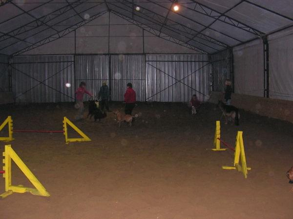 trening 11.02.07 #agility