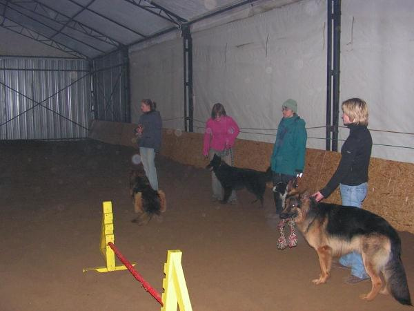 trening 11.02.07 #agility