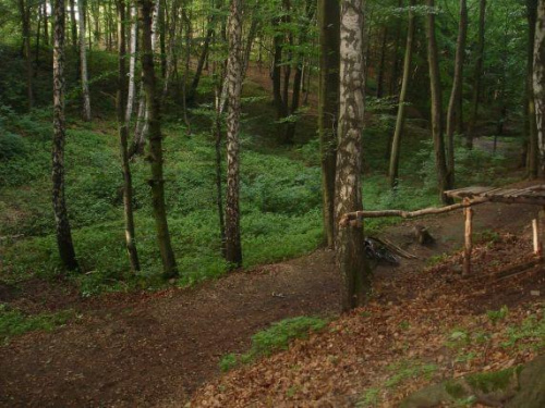 road gap Gojtiego, niecałe 3,5m nad drogą