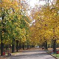 jesień 2006