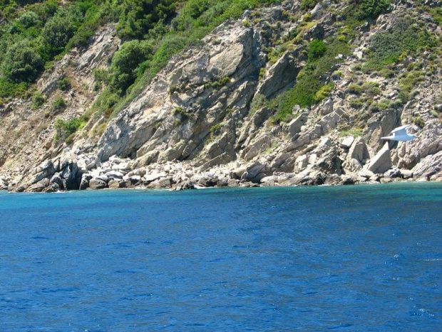 skiathos wyspa grecka