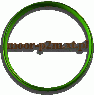 Promotion For moor-p2m.xt.pl