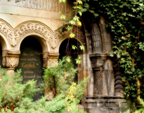Żydowski cmentarz we Wrocławiu. #cmentarz #grób #klimat
