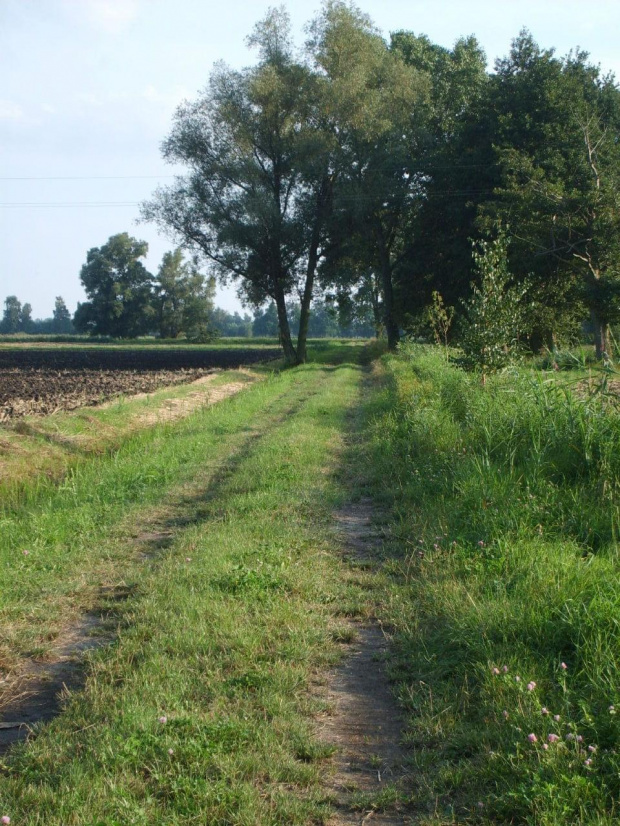 Dłuższa droga do nikąd?