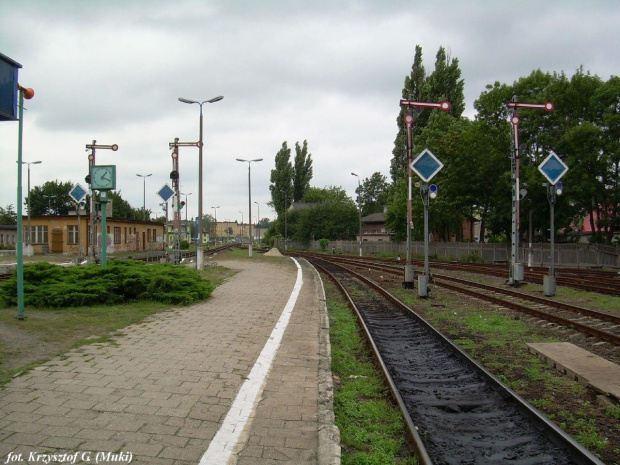 Widok w stronę Jabłonowa i Bydgoszczy.