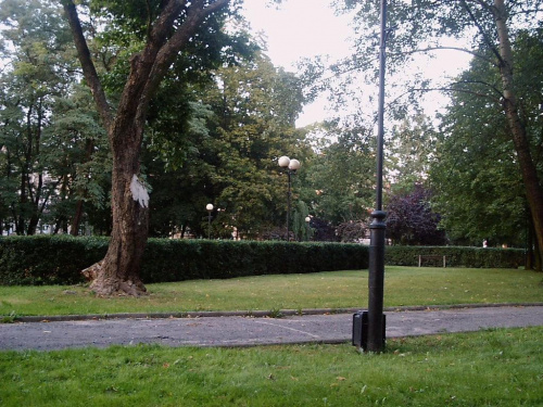 Gniezno, Park T. Kościuszki