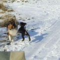 Harce na śniegu