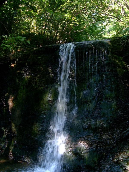 Nienazwany wodospad przy Piotrowej Polanie.
autor zdj.: Mol