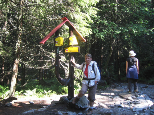 Rozdroże przy Chacie Zamkowskiego #Góry #Tatry