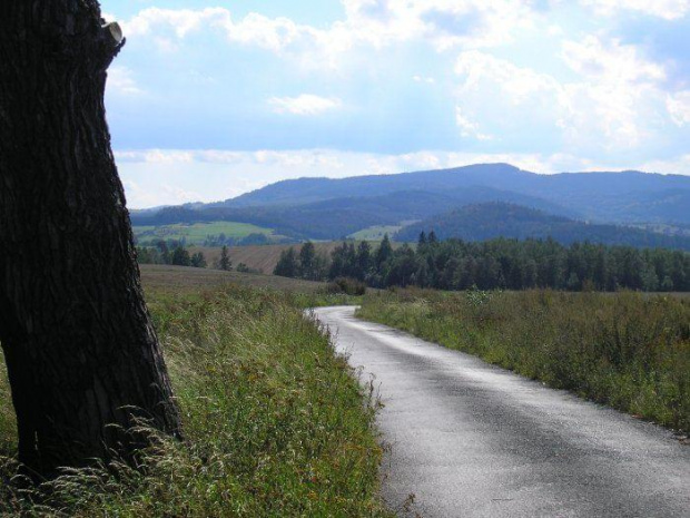 Widok na Rudawy Janowickie za wsią Pastewnik