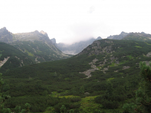 Dolina Jaworowa #Góry #Tatry