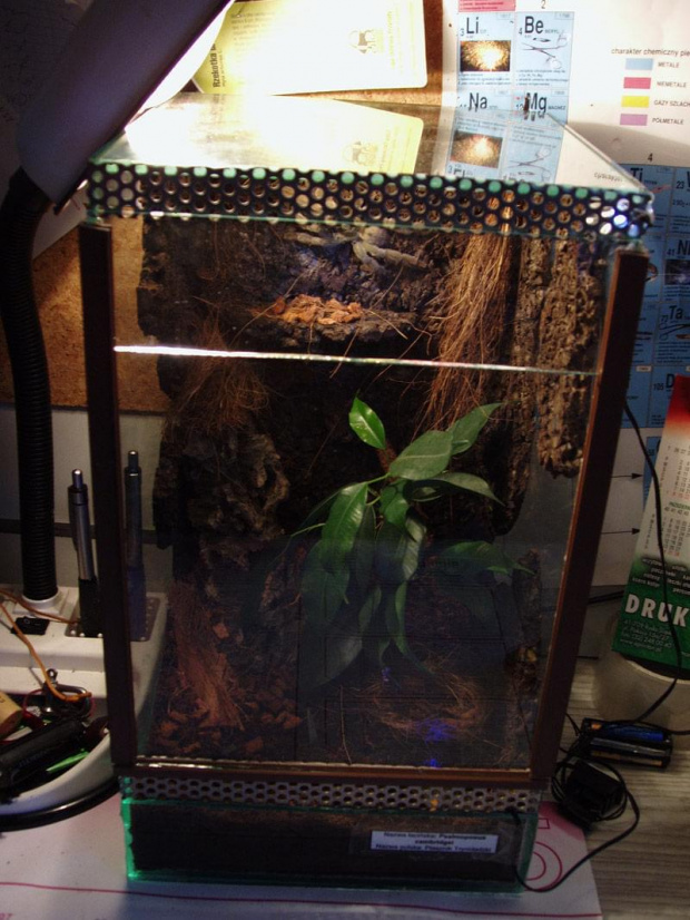 Bercikowe terr p.cambri