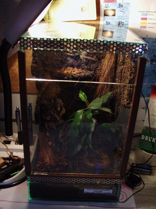 Bercikowe terr p.cambri