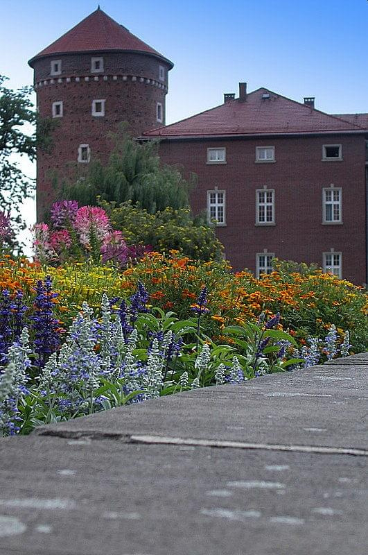 Wawel w kwiatach