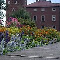 Wawel w kwiatach