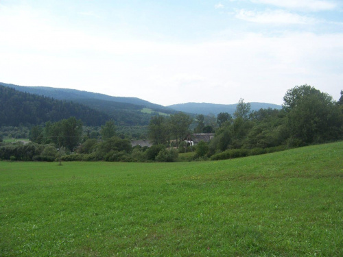 Beskid Niski ( widok z pastwiska). #BeskidNiski #Kotań #krajobraz #podkarpacie