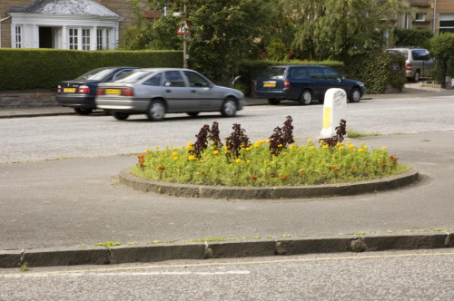 kiwiateczki na poblisiej ulicy w Edynburgu