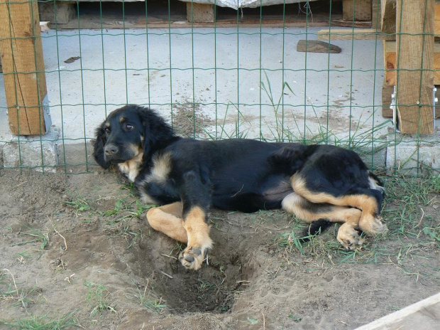 24.08.07 ja nie kopię dziur , śpię tu przypadkiem ;)