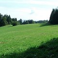 Polana (Pieniny)