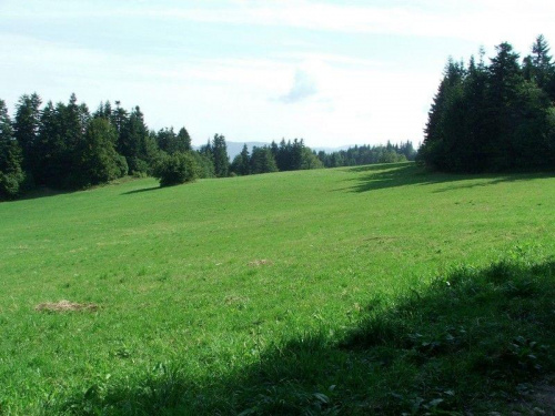 Polana (Pieniny)