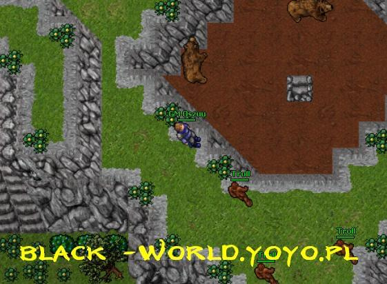 ok #tibia