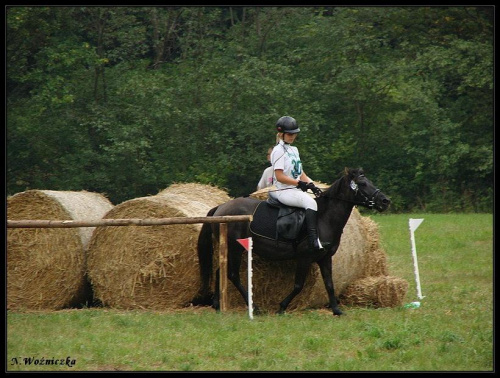 klacz MILA I CZEMCHA