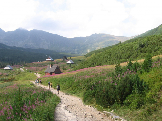 Hala Gąsienicowa #Góry #Tatry