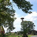 Kopań k. Darłówka #Ptaki