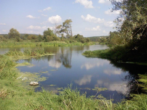 Rzeka Nida w Brzeźnie niedaleko Kielc. #RzekaNidaBrzeźnoLato