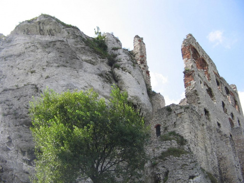 Ruiny zamku w Ogrodziencu